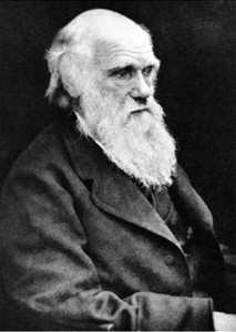 Чарльз Дарвін   біографія, фото і відео | Світ великих людей