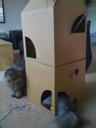 Будиночок для кішки своїми руками: Покрокова інструкція