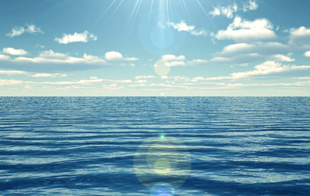 Ресурси світового океану (географія 10 клас) – шельфи, енергетичні, біологічні та основні ресурси