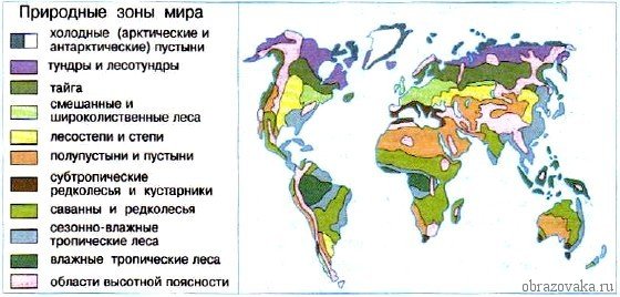 Основні природні зони світу, поширення по Землі