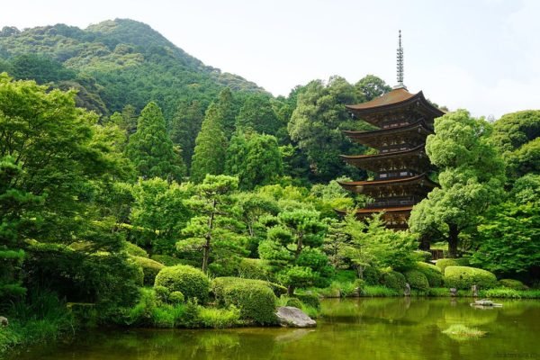 Природні зони Японії – основні особливості