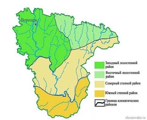 Природна зона Воронезької області і Воронежа