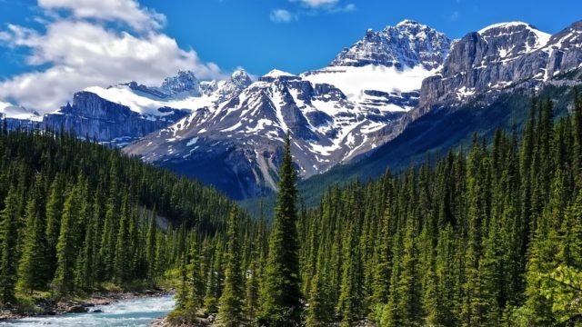 Основні природні зони Канади