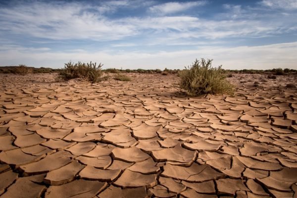 Природна зона Пустеля і напівпустеля – план опису (4 клас), характеристика повідомлення
