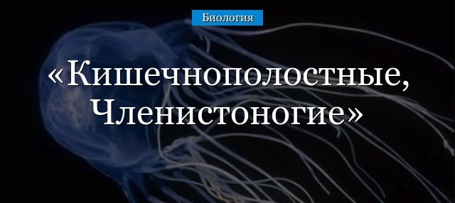 Кишечнополостные членистоногі – основні особливості