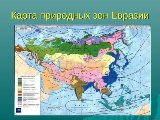 Природні зони Євразії  (7 клас) – таблиця з географії, характеристика