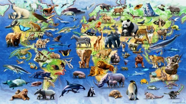 Таблиця Клімат, тварини і рослини природних зон