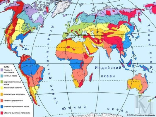 Географічна карта природних зон світу, малюнок і назва
