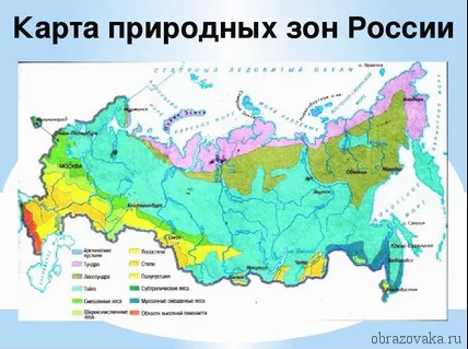 Найменша природна зона Росії – розташування і особливості