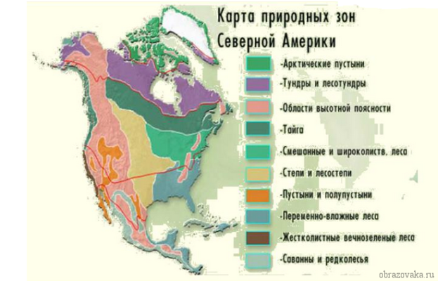 Природні зони Північної Америки – таблиця та характеристика, карта