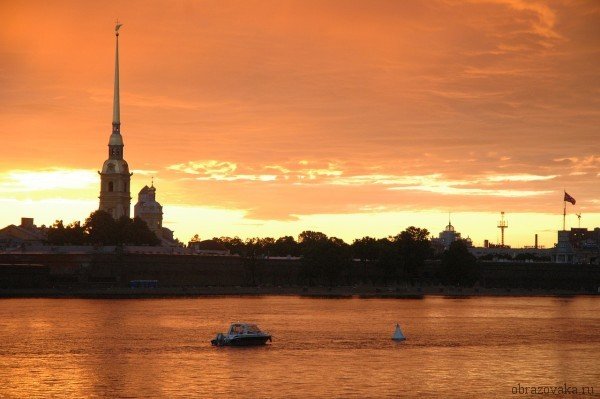 Природна зона Санкт Петербурга – в якій знаходиться