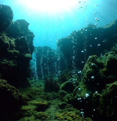 Дно світового океану (6 клас) – основні частини, серединно океанічні хребти і грунт