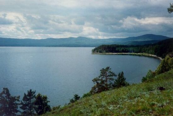 Природні зони Челябінської області – основні особливості