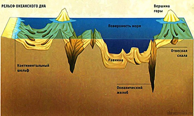Площа Світового океану – яку частину поверхні Землі займає, обсяг і середня глибина