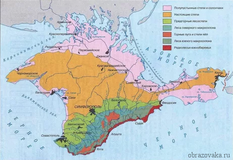 Природні зони Криму і Кримського півострова на карті