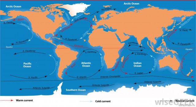 Води світового океану – до чого відносяться, середня температура і інші властивості з географії