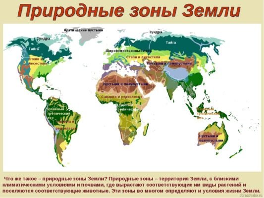 Таблиця Природні зони світу (8 клас), харакетристика Землі з географії