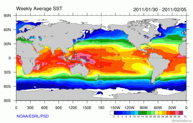 Води світового океану – до чого відносяться, середня температура і інші властивості з географії