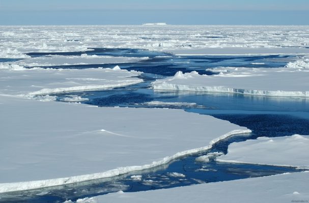 Природні зони полярного пояси – основні особливості арктичного поясу