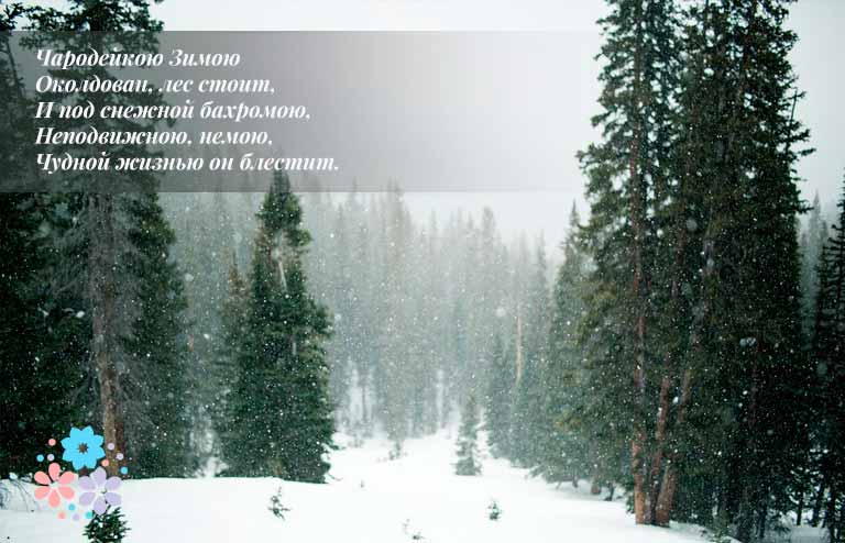 Вірші про зиму російських поетів класиків для дітей