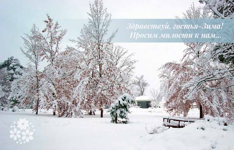 Вірші про зиму російських поетів класиків для дітей