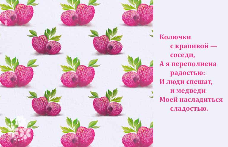 Загадки про ягоди для дітей з відповідями