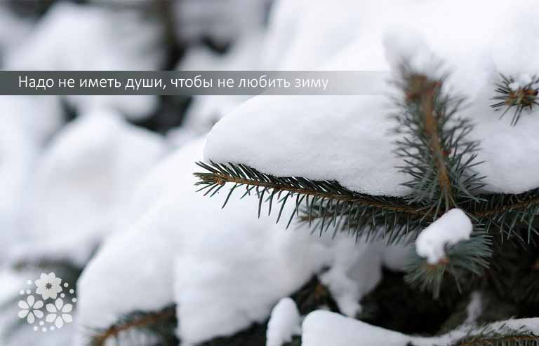 Цитати і афоризми про зиму короткі і красиві