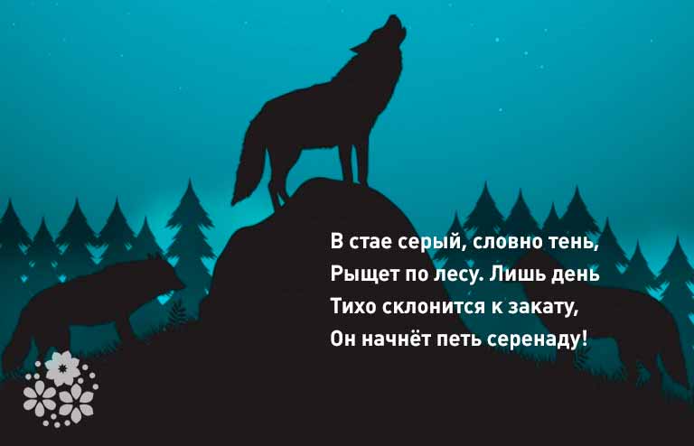 Загадки про вовка для дітей