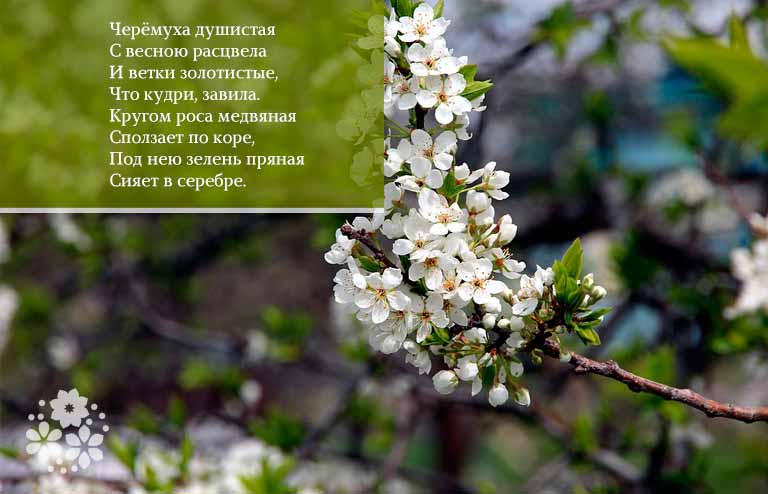 Гарні вірші про весну сучасних російських поетів класиків