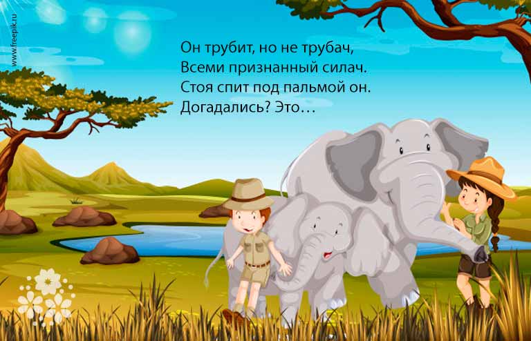 Загадки про слона для дітей