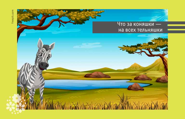 Загадки про зебру для дітей