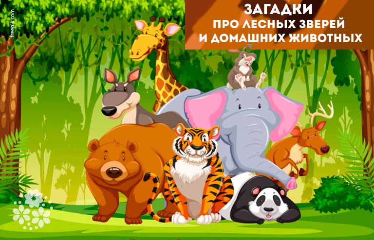 Загадки про звірів та домашніх тварин для дітей з відповідями