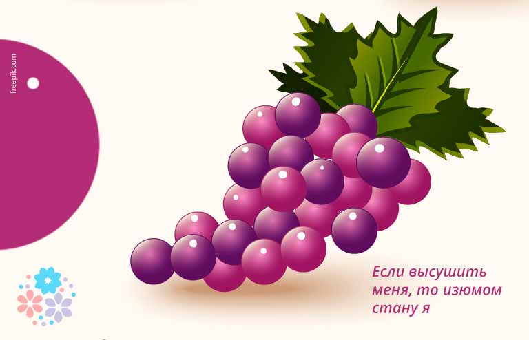 Загадки про виноград для дітей з відповідями