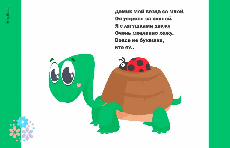 Загадки про черепаху для дітей