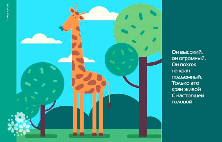 Загадки про жирафа для дітей