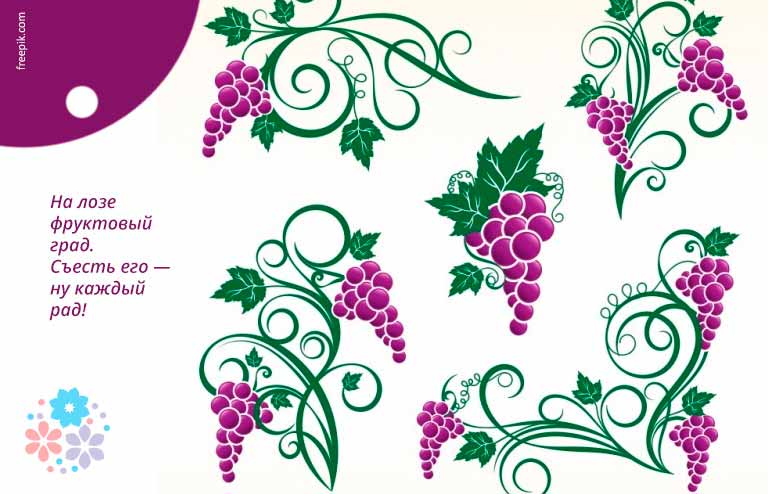 Загадки про виноград для дітей з відповідями