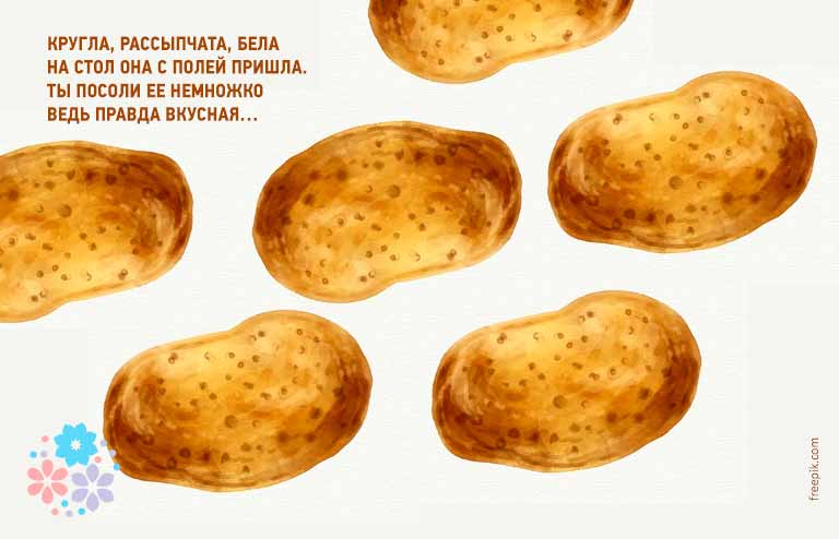 Загадки про картоплю для дітей з відповідями