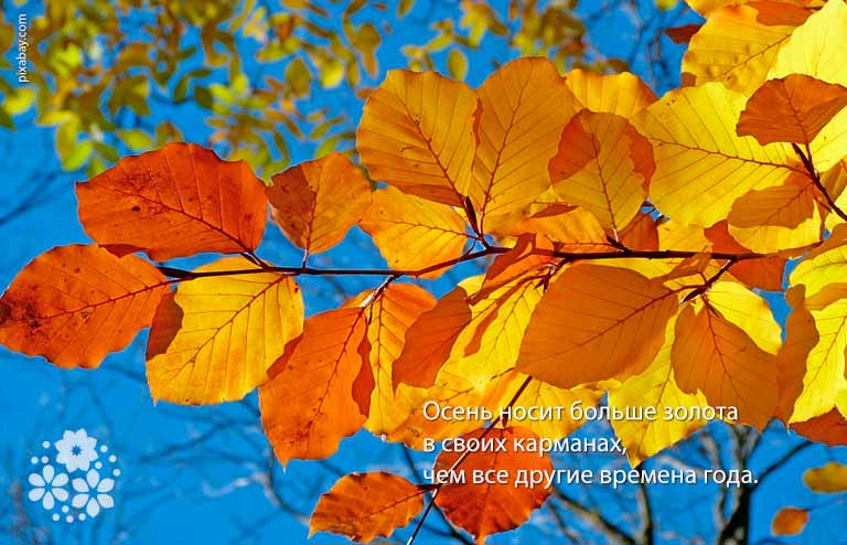 Красиві статуси про осінь у віршах зі змістом