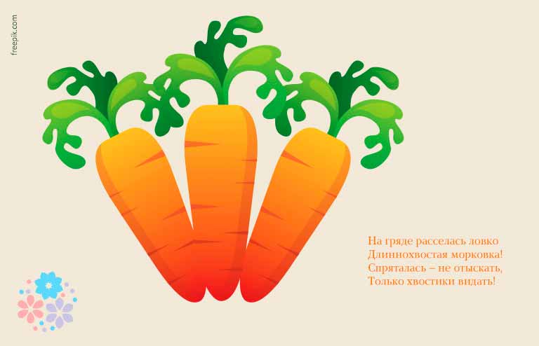 Вірші про моркву для дітей